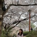 남산공원(정자아래) 이미지