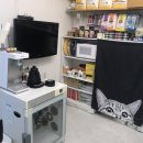 오동동162 | [창원 / 마산]여름맞이 고양이 미용은 창원 고양이미용실 For Cat에서 !미용실 이전 후 첫방문