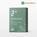 [구매링크ver.] 부부가 함께 임신준비 영양제! 언제 어떤 영양제를 섭취해야할까?🤔 주수별 영양제 추천