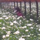 신마농장 이미지