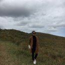 방주목장 이미지