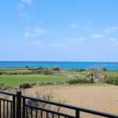 애월이디 이미지