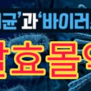 미르팜