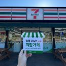 세븐일레븐 고령대가야점 이미지