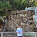 충무종합카 | 1박2일 통영여행 내역 총정리 (+일정, 맛집, 숙소 등)