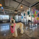 찰스앤에디 이미지