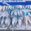 동대구수산 이미지