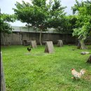 사봉농장 이미지