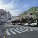 피에이치오