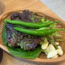 하단동 점심메뉴 추천 하단 맛집 유가네닭갈비 하단역점