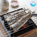 살롱바다