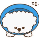 다나 동물병원 이미지