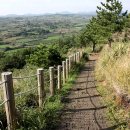 제주 올레길 1코스 | 제주 올레길 1코스 현실 난이도와 완주 시간 정리: 직접 완주 후기 가이드