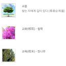 봉평중학교 이미지