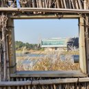 철새탐조대 이미지