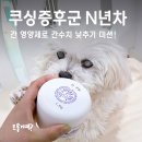 애니케어동물병원 | 쿠싱증후군 강아지 영양제 15살 말티즈의 간건강, 애니케어 노령견영양제로 챙겨요!