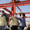 완도8호 이미지