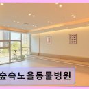 숲속노을 동물병원 네이버블로그