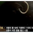 국제자판기