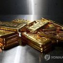 629 이미지