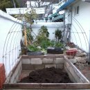 마당목장 이미지