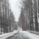 인네이트 서대문 | 한참 지난 은평구 서대문구 이야기 배경 2부 불광동주짓수 유도 서대문 주짓수 유도 연신내 맛집 주짓수