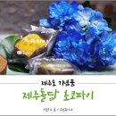 제주도 기념품, 택배로도 OK, 식상함 버리고 수제 초코파이로!