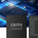 中 CXMT, 최신 D램 양산 이어 낸드까지…K메모리 추격 전선 넓힌다 이미지