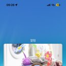 야호세탁소 이미지