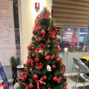 잇단케 | 동네 카페 마실 eat, danke 잇 단케 후기 💕