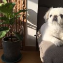 공존 이미지