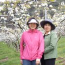 소희농장 이미지