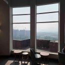 사주카페 다미 이미지