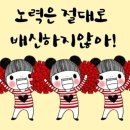 렛잇플로우
