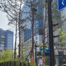 드림발레하우스학원 이미지