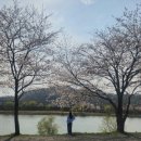 순천만국가정원 국가정원식물원 화장실 | 🌸 순천만국가정원 튤립 벚꽃 실시간 후기｜정원드림호까지 완벽 봄 여행 코스