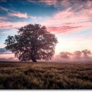 나우약국 이미지