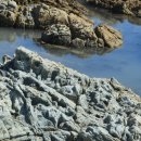 거북호텔 이미지