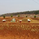 농지조성 이미지