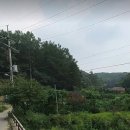 경기도 광주시 곤지암읍 부항리 보전관리400평 이미지