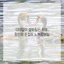 범석영치과의원 이미지