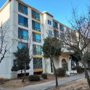 정왕한사랑약국 이미지