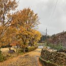 서가무주 이미지