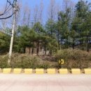 상대원유소년축구장 이미지