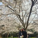 대왕수천 이미지