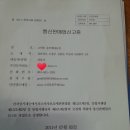 고인돌블루베리