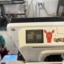 플러피 홀리데이 이미지