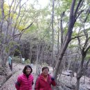 전남 장성 축령산 자연휴양림 편백나무숲펜션 네번째여행(1) 이미지