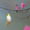 서초탁구