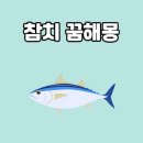 귀인참치 이미지